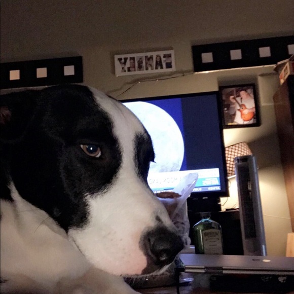 We Finally Did It! - Picture 7 of 8